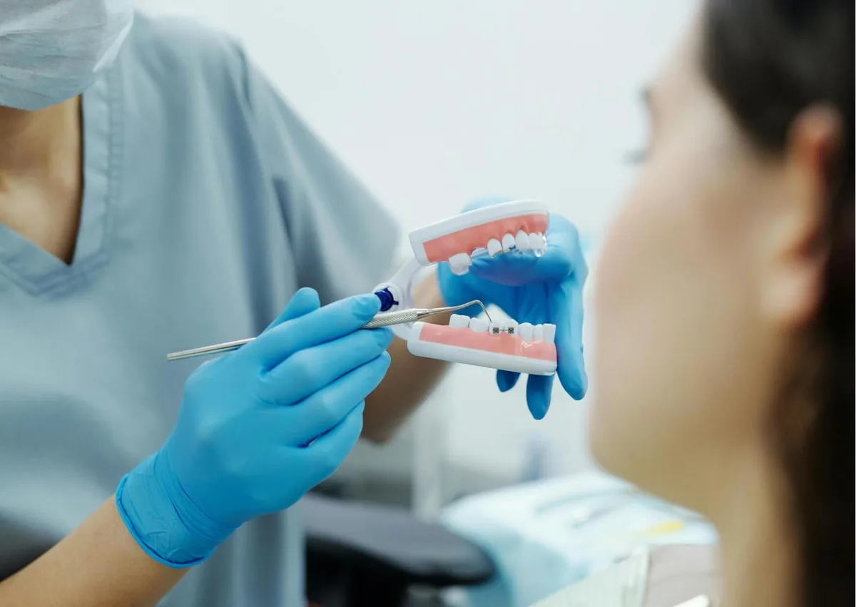 Dental professional explaining a braces model to a patient while discussing braces cost and treatment options.
